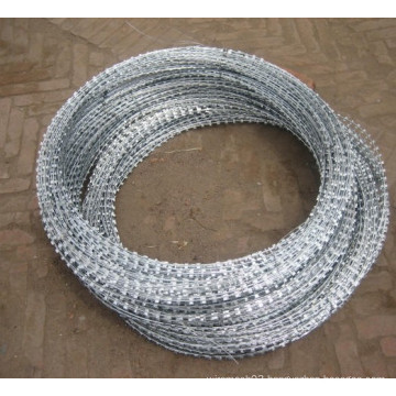 Stainless Steel Razor Wire Mesh